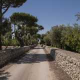 Torniamo ora sui nostri passi e c�immettiamo a sinistra su una strada rurale che da San Materno ci porta in contrada Brenca...